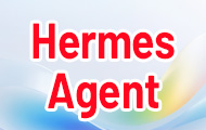 Hermes Agent